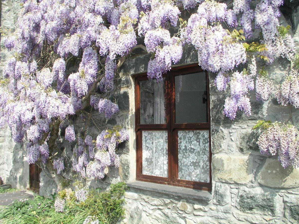 Conwy Valley Cottages Exteriör bild